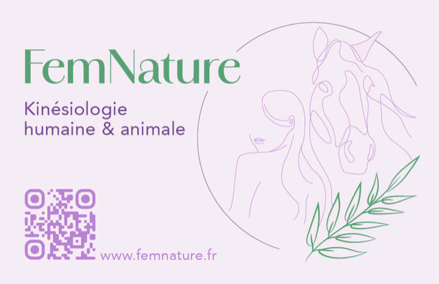 Retrouvez l'équilibre : Kinésiologie Humaine & Animale